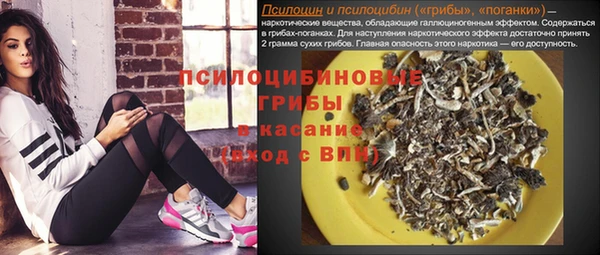 ECSTASY Алексин
