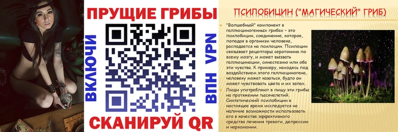 Галлюциногенные грибы прущие грибы  Павловская 